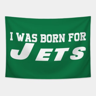 i was born for jets 2 Tapestry