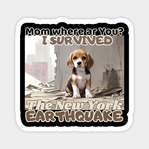 Mam where ar you? I survived: Beagle Puppy  in NYC's earthquake Magnet by benzshope