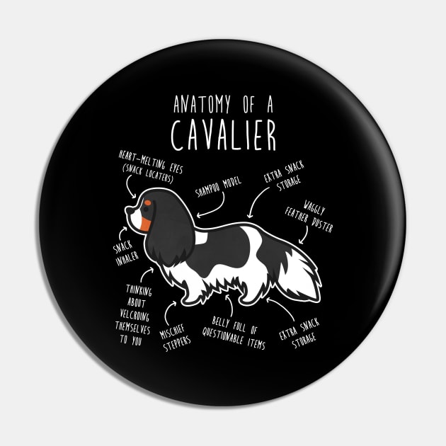 Tri-Color Cavalier King Charles Spaniel Dog Anatomy Pin by Psitta