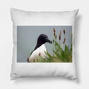 Razorbill on cliff top Pillow