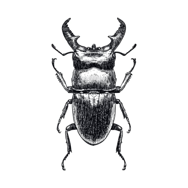 Stag Beetle drawing by StefanAlfonso