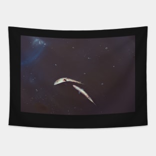 Crab on Fish in Space Tapestry