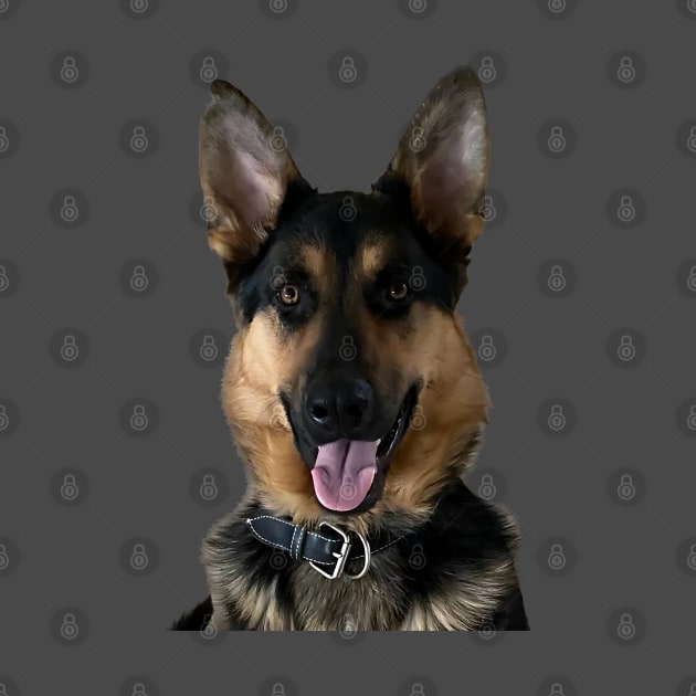 Gorgeous German Shepherd by Print Magic Studios