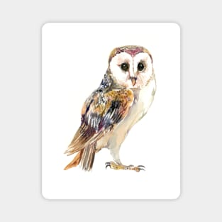 Barn Owl Magnet