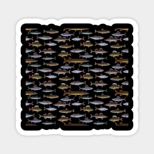 Fishes of Europe Magnet