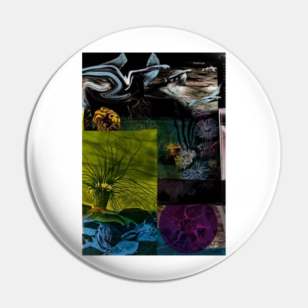 Under the sea Pin by Shtakorz