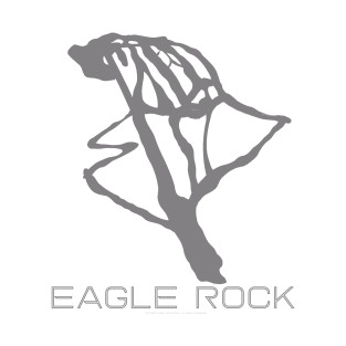 Eagle Rock Resort 3D T-Shirt