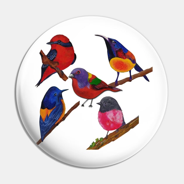 Colorful Birds Pin by PaintingsbyArlette