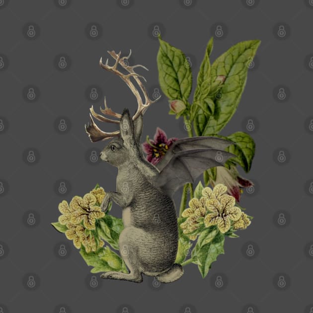 Jackalope Vespertilio by Black Rabbit Curiosities 