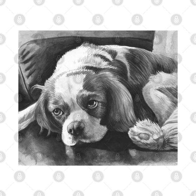 Cavalier King Charles Spaniel - Blenheim Black and White Portrait by jollyinu