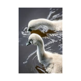 Mute Swan Cygnets T-Shirt