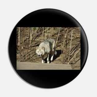 Wolf Pin