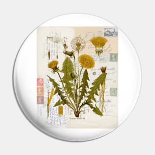 Dandelion Botanical on Antique Postcards Pin