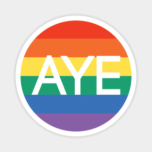 AYE, Scottish Independence Pride Flag Coloured Circle Design Magnet