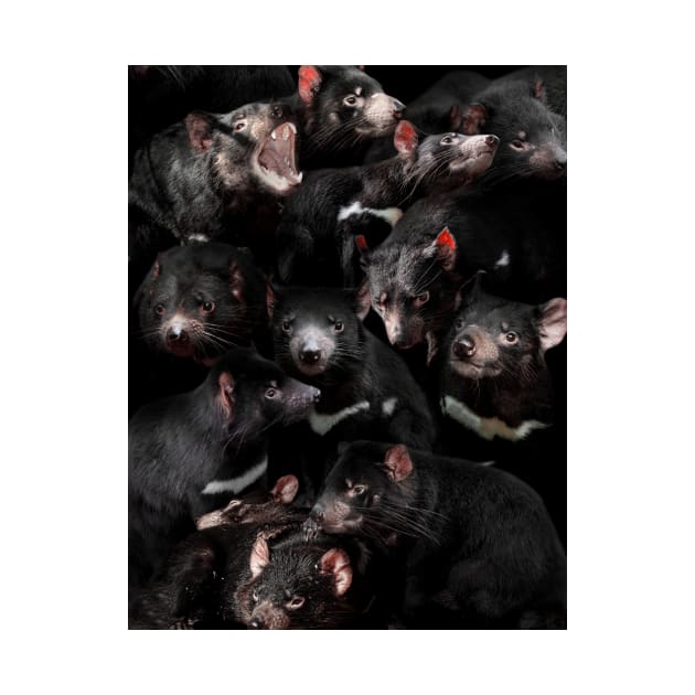 Tasmanian Devils by MaxencePierrard