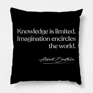 Albert Einstein Quote Pillow