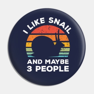 I Like Snail and Maybe 3 People, Retro Vintage Sunset with Style Old Grainy Grunge Texture Pin