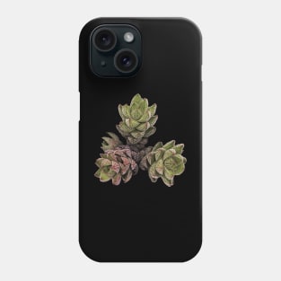 Suculenta Haworthia Reinwardtii Phone Case