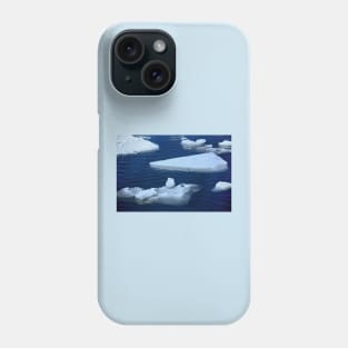 Ice Floes Phone Case