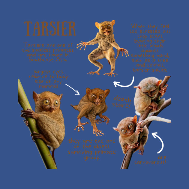 Discover Animal Facts - Tarsier - Tarsier - T-Shirt