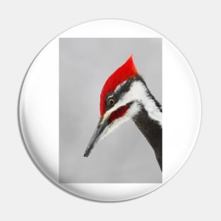 Pileated Woodpecker Portrait Pin