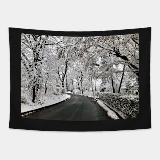 Winter Road Tapestry