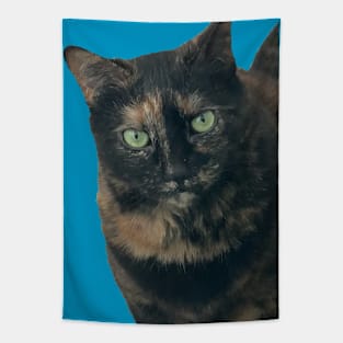 Tortie Closeup Tapestry