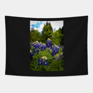 Texas Bluebonnets Tapestry