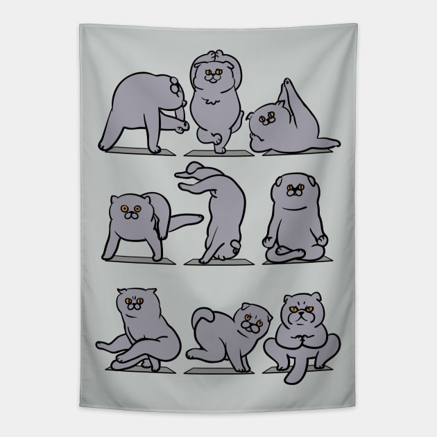 Scottish Fold Yoga Tapestry by huebucket