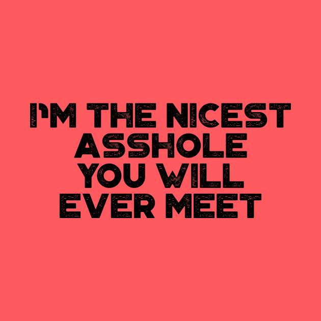 I'm The Nicest Asshole You Will Ever Meet Funny by truffela