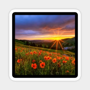 Beautiful landscap flowers and sunset Magnet