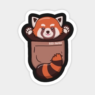 Cute Red Panda In Pocket Magnet