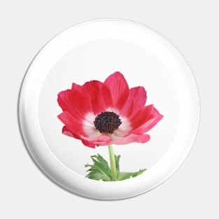 Red Anemone Pin