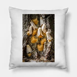 Gypsy Moths 2 Pillow