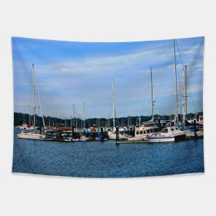 Newport RI - Boats in Harbor Tapestry