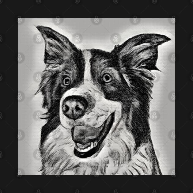 Border Collie Black and White with Grey - Hand drawn design by LizTodd