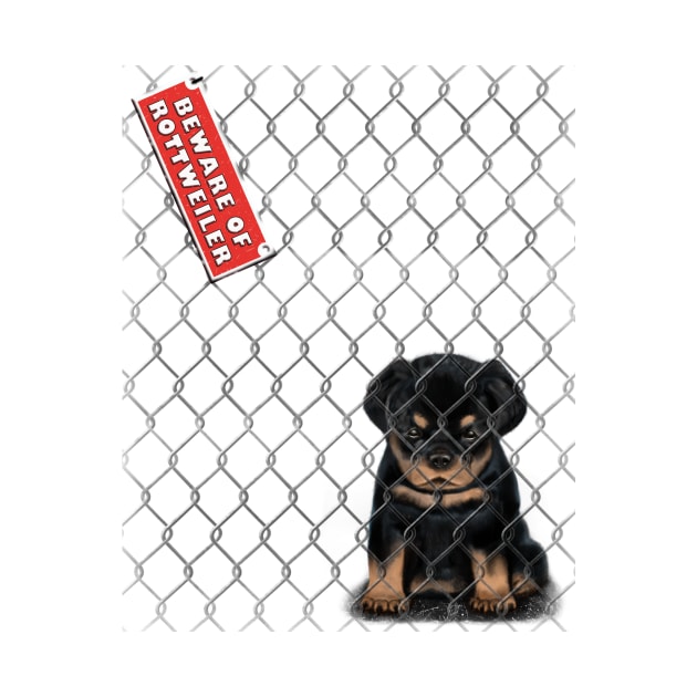 Beware of Rottweiler by asaiphoto