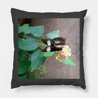 Natural Butterfly on a flower Pillow