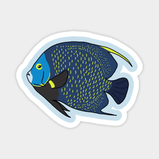 French Angelfish Magnet