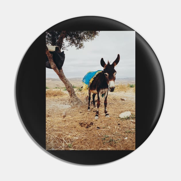 Burro Portrait Pin by visualspectrum