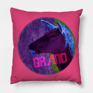 Grand Canyon National Park 4 Teef Logo Pillow