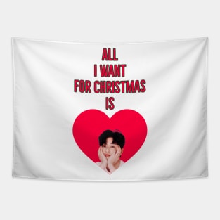 Park Seo-Joon Christmas Edition Tapestry