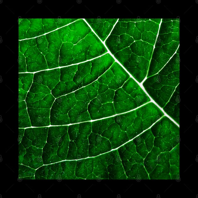 LEAF STRUCTURE GREENERY no2 by PiaS