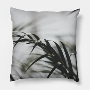 Palm Leaves Pillow