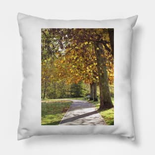 A Walk in the Park Pillow