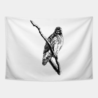 Hawk Ink Drawing Tapestry