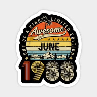 Awesome Since June 1988 Vintage 35th Birthday Magnet