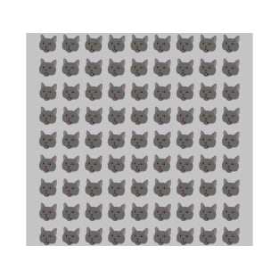 Grey British Shorthair Cat T-Shirt