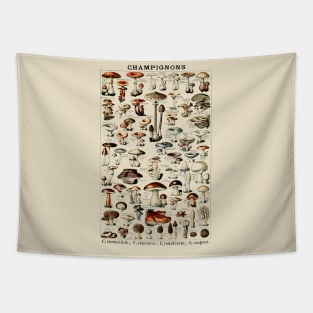 Champignons (Mushrooms) Edibility Chart Tapestry