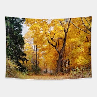 Autumn Path Tapestry